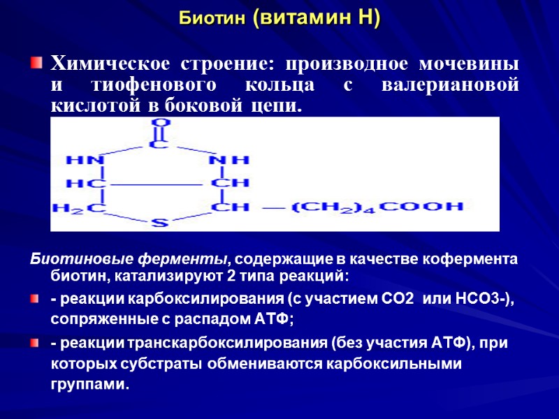 Биотин (витамин Н) Химическое строение: производное мочевины и тиофенового кольца с валериановой кислотой Биотин (витамин Н) Химическое строение: производное мочевины и тиофенового кольца с валериановой кислотой